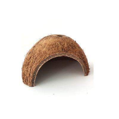 Two natural coconut shell hideouts for reptiles, featuring a rough brown exterior and a smooth interior. - Image 4