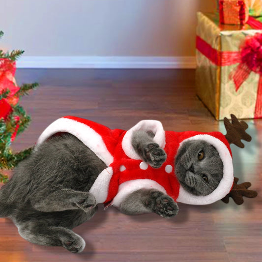 Disfraz de Papá Noel para Perros Pequeños - Ropa Navideña