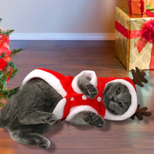 Disfraz de Papá Noel para Perros Pequeños - Ropa Navideña