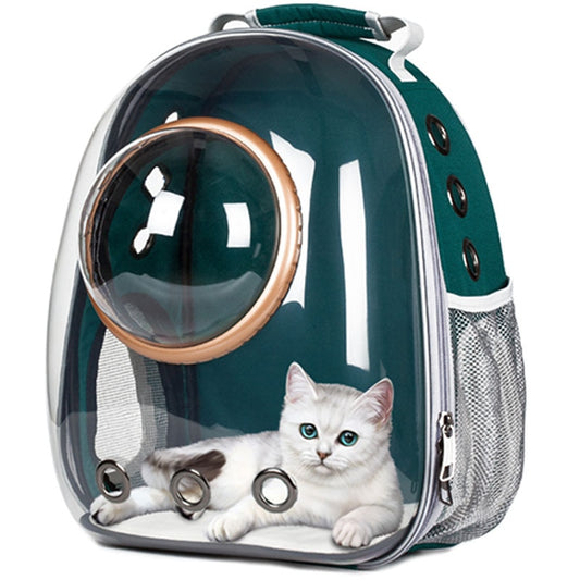Dark grey transparent pet carrier backpack with a white cat plush toy inside, sitting on a path outdoors.