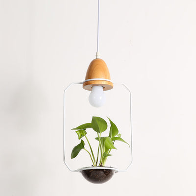 Lámpara Colgante con Plantas - Image 3