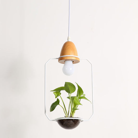 Lámpara Colgante con Plantas - Image 3