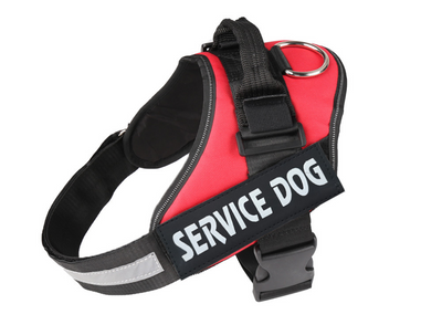 Arnés de Pecho para Perro con Correa Integrada - Image 20