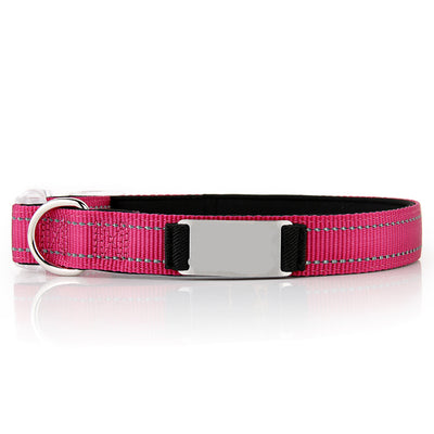 Collar de Perro Personalizado de Nylon - Image 8