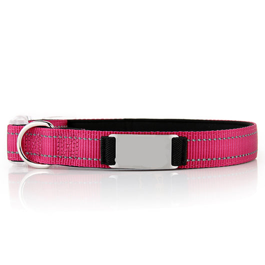 Collar de Perro Personalizado de Nylon - Image 20