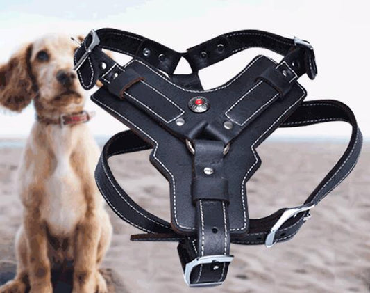 Arnés de Cuero Genuino para Perros