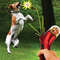 Lanzador de Alimento para Perros - Juguete Interactivo Catapulta