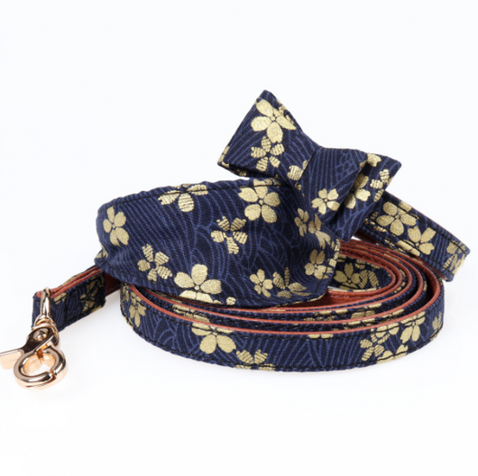 Correa y Collar para Mascotas Premium - Image 4