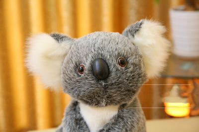 Peluche Koala Adorable - Image 3