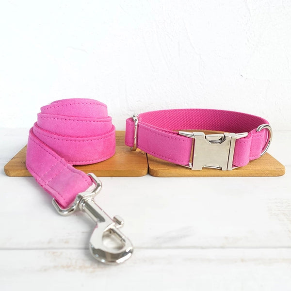 Correa y Collar para Perro Ajustable