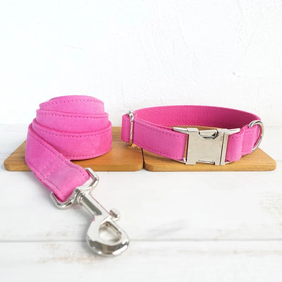 Correa y Collar para Perro Ajustable