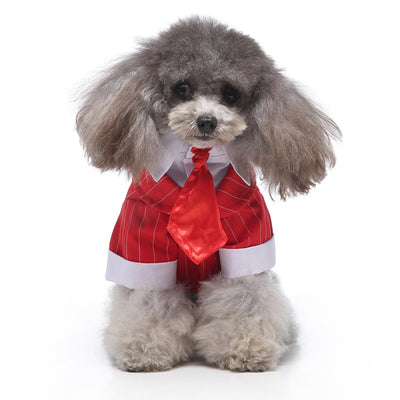 Conjunto de Ropa para Perros - Traje Completo de Moda - Image 37