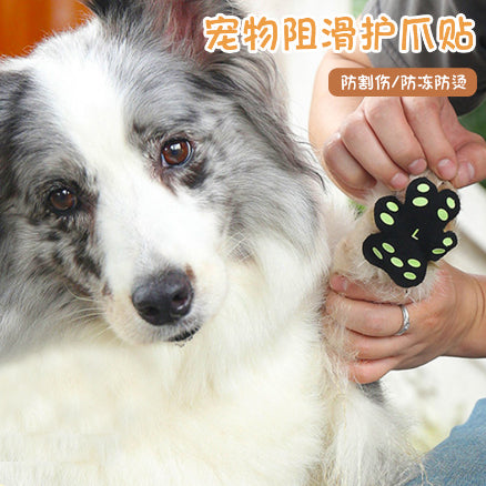 Protectores de Patas Invisibles Respirable para Perros - Almohadillas Adhesivas - Image 12