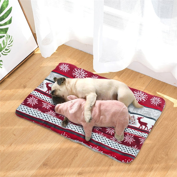 Cama Acolchada para Perros