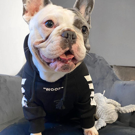 Abrigo de invierno para perros con capucha - Image 4