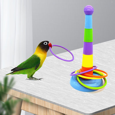 Colorful plastic bird ring toss toy with a stackable post and multiple rings, demonstrated by a lovebird. - Image 4