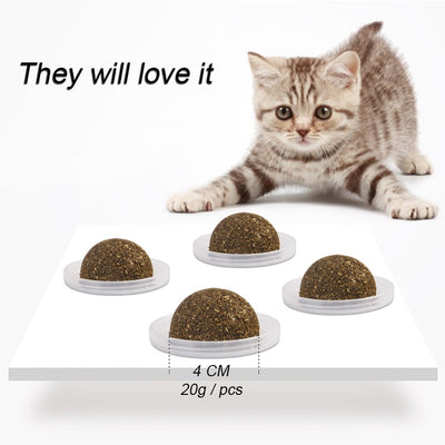 Natural Nepeta Cataria catnip ball in a clear plastic container with a label featuring a cartoon cat. - Image 4