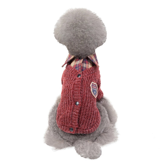 Ropa Protectora para Perros y Gatos contra el Viento - Image 4
