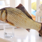 Carpa-capim 30 cm