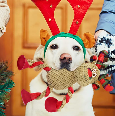 Juguete Navideño para Limpiar Dientes y Aliviar Encías en Mascotas - Image 11