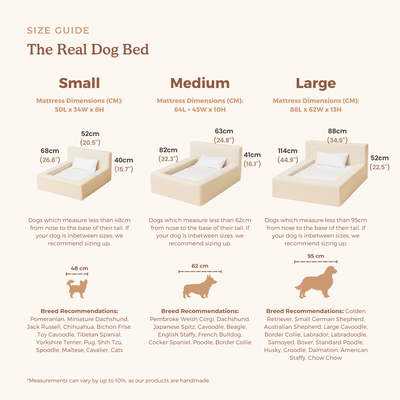 Cama Ortopédica Móvil para Perros y Gatos con Respaldo - Image 14