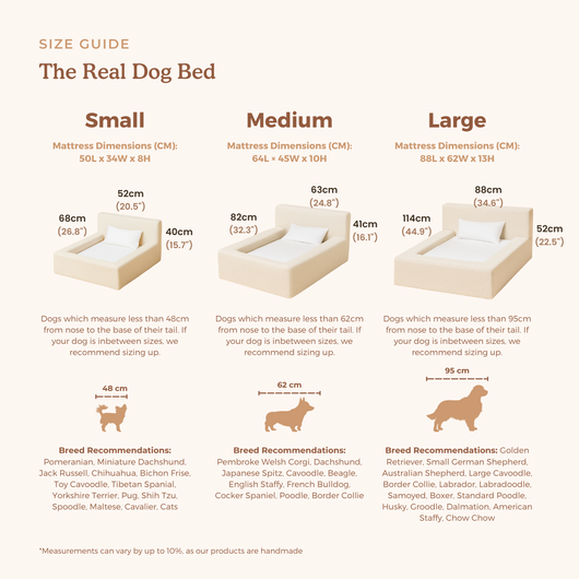 Cama Ortopédica Móvil para Perros y Gatos con Respaldo - Image 14