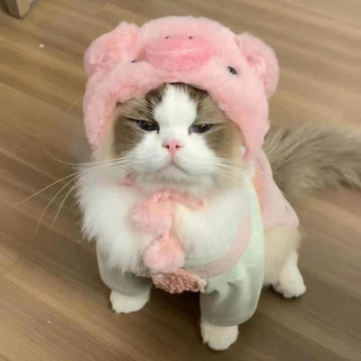 Gorro Felino de Moda: Expresa tu Personalidad y Creatividad - Image 4