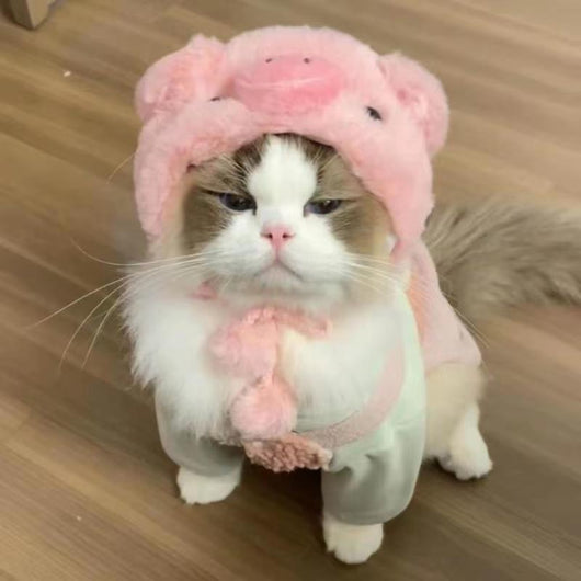 Gorro Felino de Moda: Expresa tu Personalidad y Creatividad - Image 4