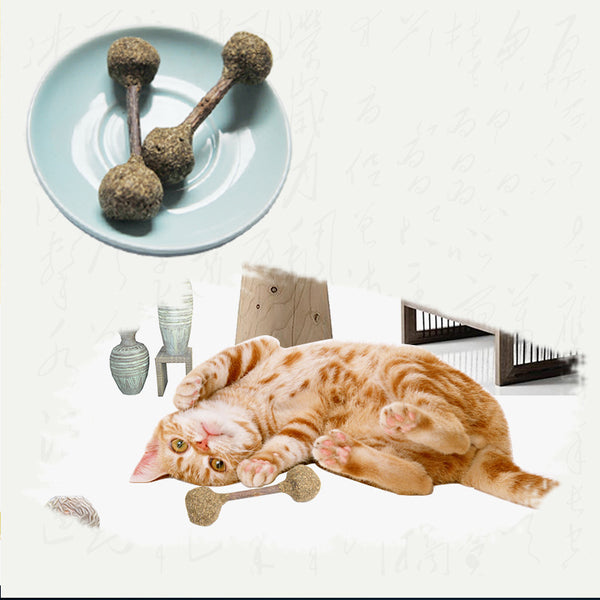 Three dumbbell-shaped catnip and silvervine chew toys with natural wood sticks on a light blue plate.
