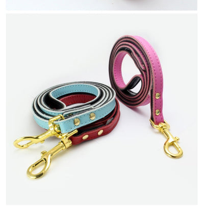 Collar para Mascotas de Cuero Genuino - Image 11