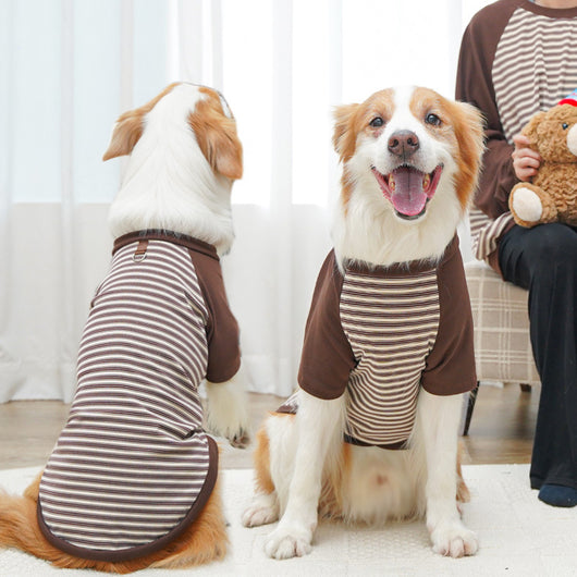 Camiseta Rayada para Perros Grandes - Ropa Cómoda y Protectora - Image 10