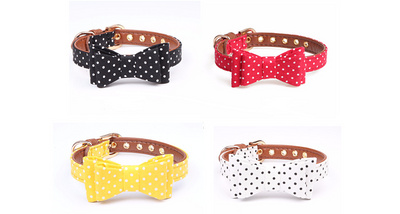 Collar con Lazo de Lunares para Mascota