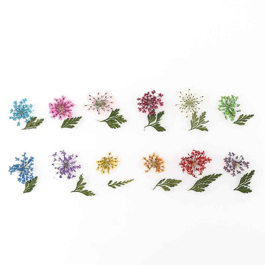Set de 12 Cajas de Joyas con Flores Secas Naturales - Image 23