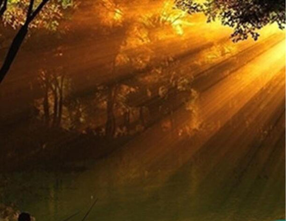 Cargador Solar para Faros LED Recargables