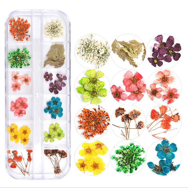 Flores Secas para Nail Art - Image 18