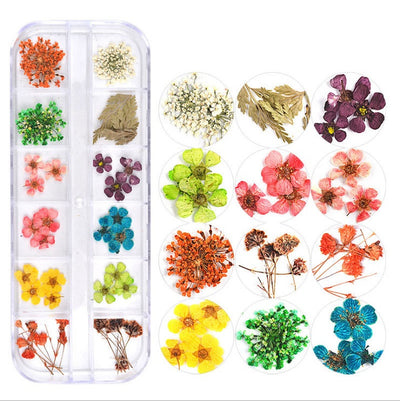 Flores Secas para Nail Art - Image 18