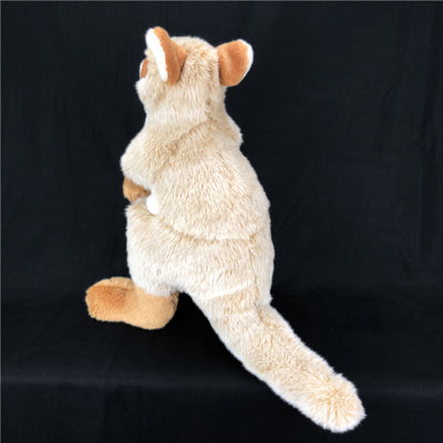 Peluche Canguro Australiano - Dúo Familiar Suave y Adorable - Image 11