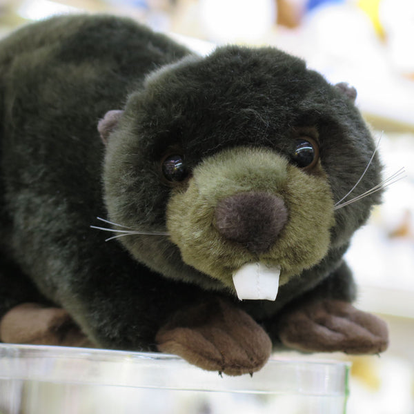 Peluches Animales del Río - Juguetes Suaves y Seguros