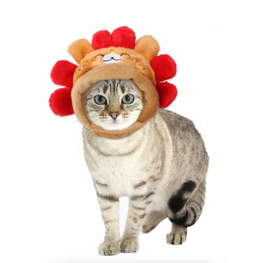 Gorro Rizado Divertido para Mascotas - Disfraz Cómico para Gatos y Perros - Image 42