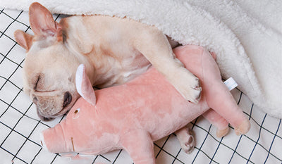 Juguete Peluche Compañero de Sueño para Perros - Image 8