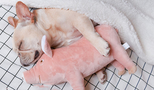 Juguete Peluche Compañero de Sueño para Perros - Image 8