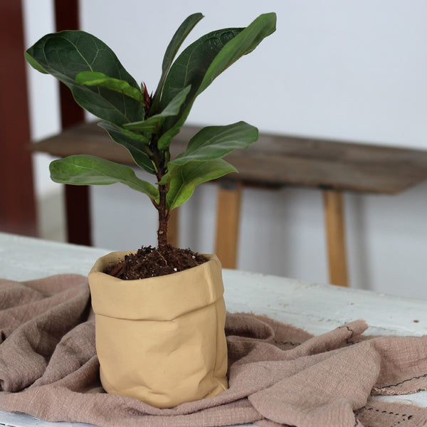 Maceta de Tela y Cuero - Diseño Minimalista y Funcional
