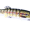 Pike A