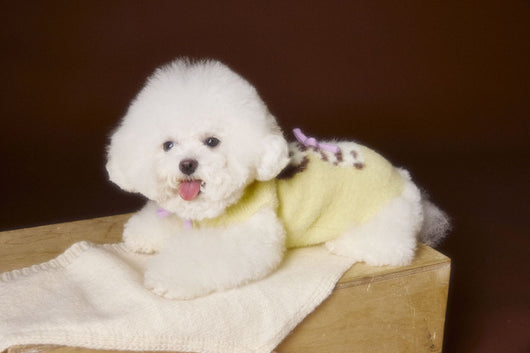 Chaleco Sudadera con Capucha y Estampado de Perrito - Image 23