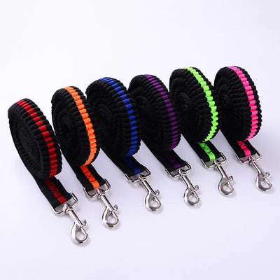 Correa Elástica de Tracción para Perros Outdoor - Image 6