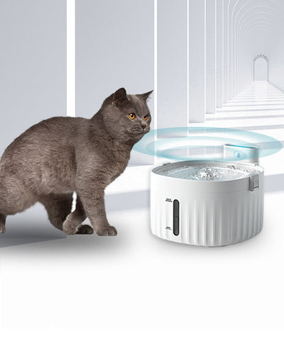 Bebedero Automático Inteligente para Gatos con Circulación Continua y Doble Fuente de Energía - Image 9
