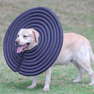 Collar Protector Antipicaduras para Mascotas - Verano Seguro - Image 11
