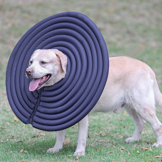 Collar Protector Antipicaduras para Mascotas - Verano Seguro - Image 11