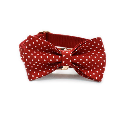 Collar y Correa para Perro Red Dot - Suministros de Mascotas Premium - Image 12