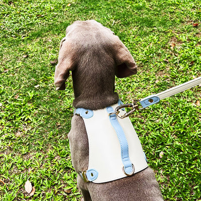 Arnés de Pecho de Cuero con Cuerda Guía para Mascotas - Image 17